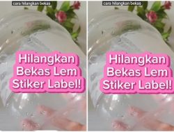 Cara Menghilangkan Bekas Label Stiker yang Lengket di Toples Kaca: Panduan Lengkap dan Praktis