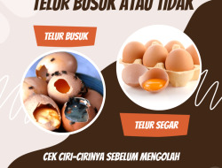 Panduan Lengkap: Cara Membedakan Telur Busuk dan Telur Bagus Tanpa Harus Memecahkannya