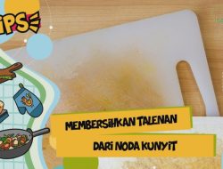 Panduan Lengkap Cara Membersihkan Talenan Plastik dari Noda Kunyit yang Membandel secara Natural