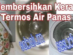 Panduan Lengkap Cara Membersihkan Tutup Termos dari Jamur dan Bau Langu Secara Natural