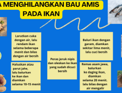 Panduan Lengkap Cara Menghilangkan Bau Amis pada Seafood Beku secara Natural untuk Olahan Lezat
