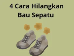 Panduan Lengkap Cara Menghilangkan Bau Sepatu di Rak Dapur dengan Biji Kopi Secara Natural