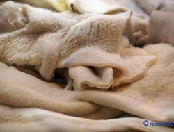 Panduan Lengkap Cara Menghilangkan Lendir pada Babat Sapi dengan Abu Gosok agar Bersih dan Bebas Bau