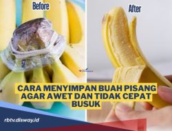 Panduan Lengkap Cara Menyimpan Pisang Agar Tidak Cepat Matang dan Berbintik Hitam