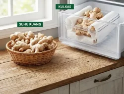 Panduan Lengkap Menyimpan Jahe Tetap Segar, Harum, dan Bebas Jamur Hingga Berbulan-bulan