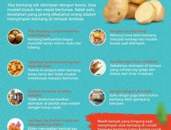 Panduan Lengkap Menyimpan Kentang Agar Segar, Tidak Berkecambah, dan Bebas Racun
