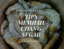 Panduan Lengkap: Tips Memilih Udang yang Masih Segar dan Tidak Berbau Amoniak untuk Sajian Berkualitas