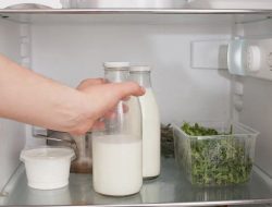 Panduan Lengkap: Tips Menyimpan Susu Formula Agar Tidak Menggumpal dan Basi