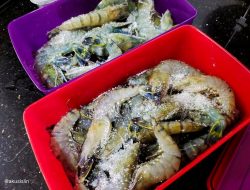 Panduan Lengkap: Tips Menyimpan Udang Kering (Ebi) agar Tahan Lama dan Tidak Berbau