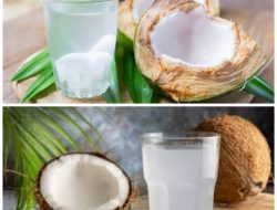 Rahasia Cita Rasa Otentik: Cara Membedakan Air Kelapa Muda dan Tua untuk Masakan