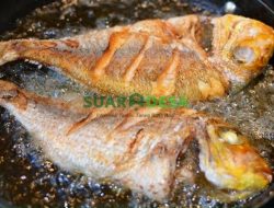 Rahasia Dapur: Tips Menggoreng Ikan Laut Agar Tidak Menempel di Wajan dan Hancur