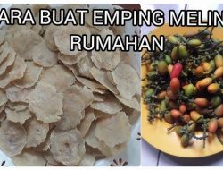 Rahasia Dapur Tradisional: Trik Mengupas Biji Melinjo dengan Cepat untuk Emping yang Renyah dan Gurih