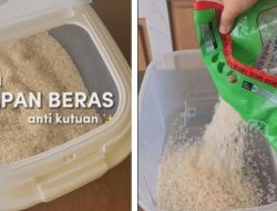 Rahasia Nasi Wangi dan Pulen: Trik Menghilangkan Rasa Apek pada Beras Sebelum Ditanak