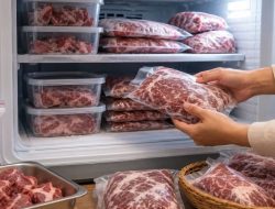 Rahasia Praktis: Cara Menyimpan Daging Cincang di Freezer Agar Tidak Membeku Keras