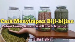 Panduan Lengkap Cara Menyimpan Kacang Hijau agar Tidak Berulat dan Tetap Kering