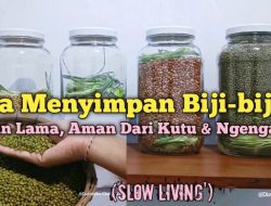 Panduan Lengkap Cara Menyimpan Kacang Hijau agar Tidak Berulat dan Tetap Kering