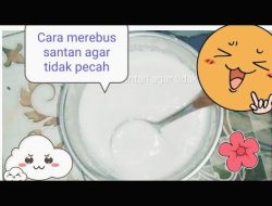 Rahasia Tekstur Lembut Kuliner Nusantara: Trik Merebus Santan Agar Tidak Pecah dengan Batu Es